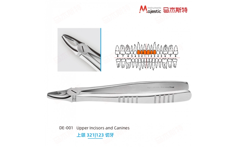 Adult Extracting Forceps English Pattern
