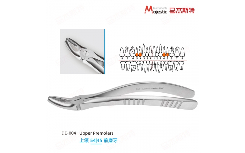 Adult Extracting Forceps English Pattern