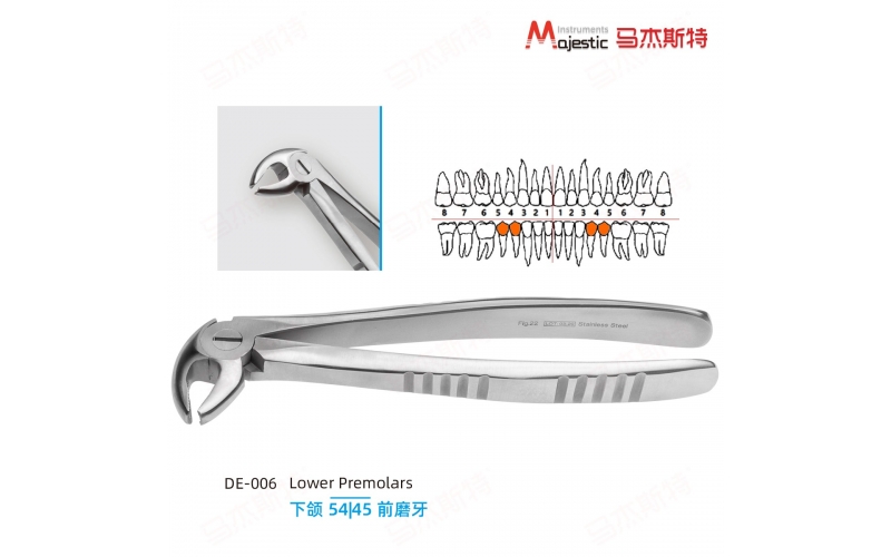 Adult Extracting Forceps English Pattern