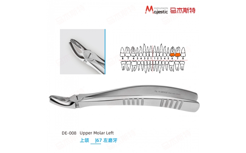 Adult Extracting Forceps English Pattern(DE-008))