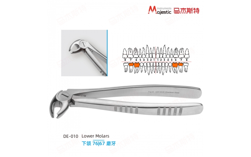 Adult Extracting Forceps English Pattern