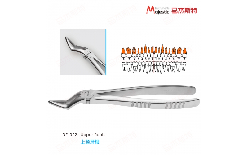 Adult Extracting Forceps English Pattern