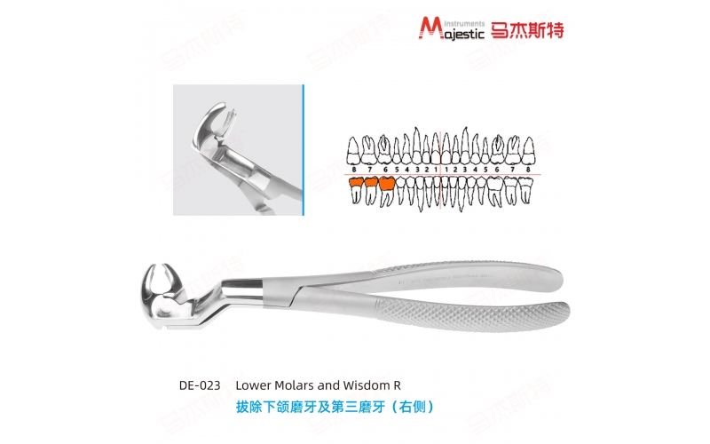 Adult Extracting Forceps English Pattern(DE-023))
