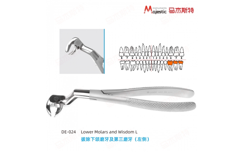 Adult Extracting Forceps English Pattern