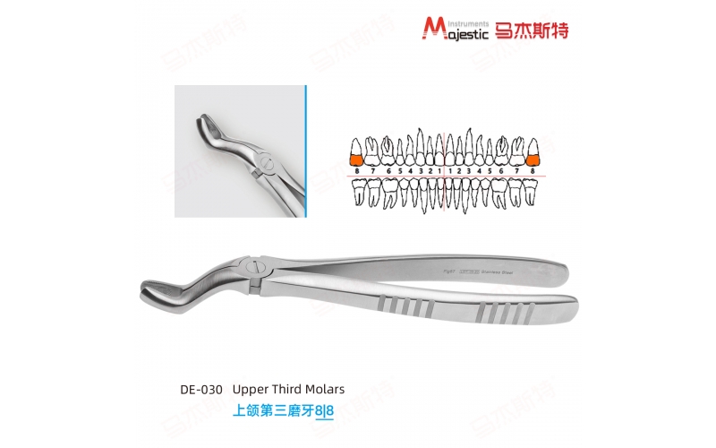 Adult Extracting Forceps English Pattern(DE-030))