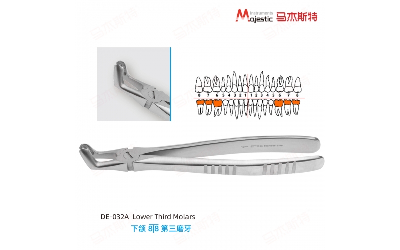 Adult Extracting Forceps English Pattern(DE-032A))