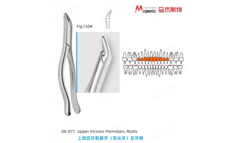 Adult Extracting Forceps American Pattern