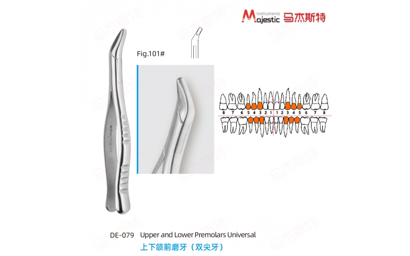 Adult Extracting Forceps American Pattern