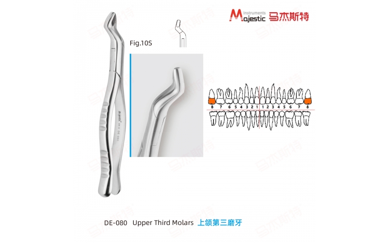 Adult Extracting Forceps American Pattern