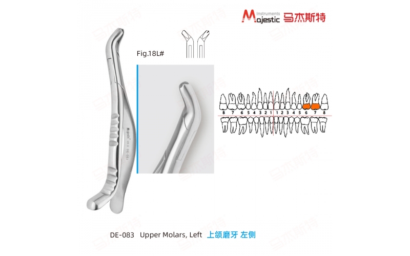 Adult Extracting Forceps American Pattern
