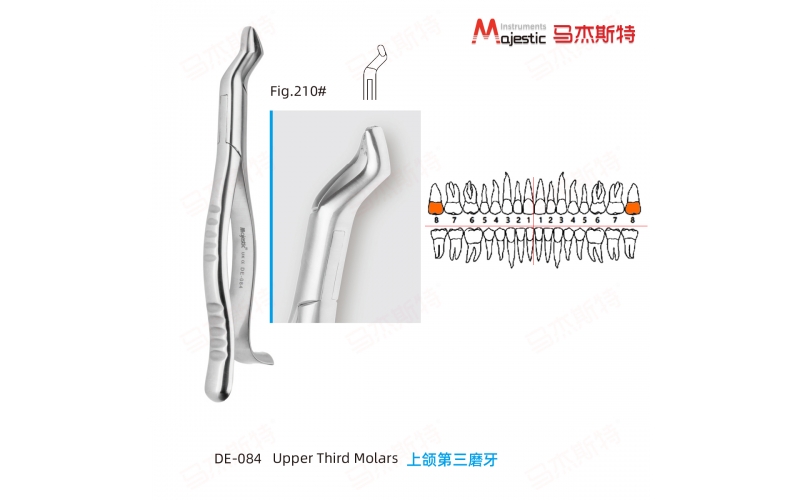 Adult Extracting Forceps American Pattern