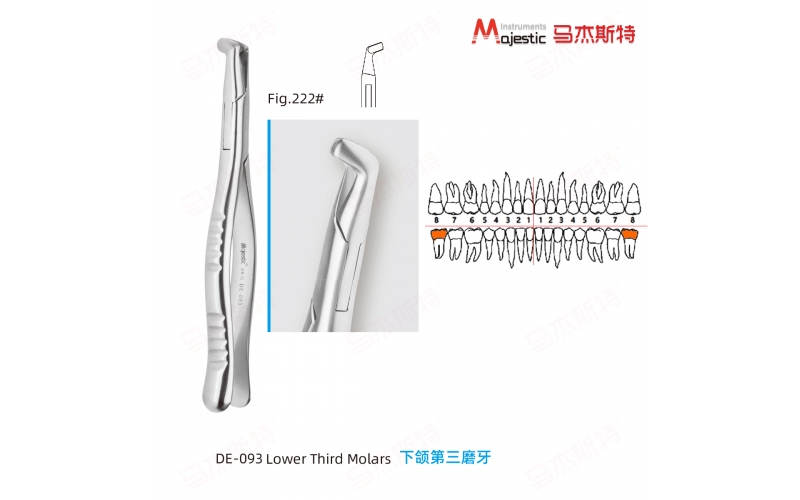 Adult Extracting Forceps American Pattern