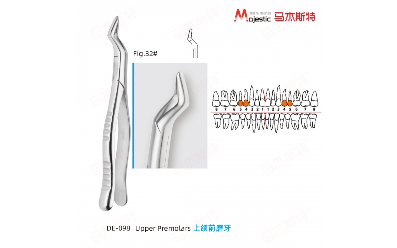 Adult Extracting Forceps American Pattern