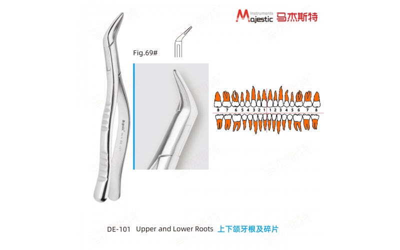 Adult Extracting Forceps American Pattern
