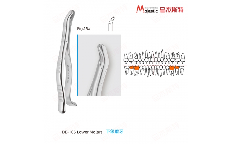 Adult Extracting Forceps American Pattern