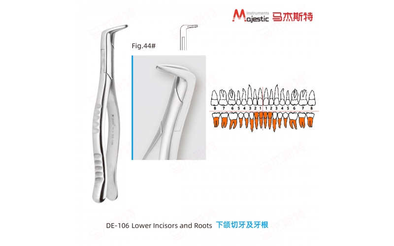 Adult Extracting Forceps American Pattern