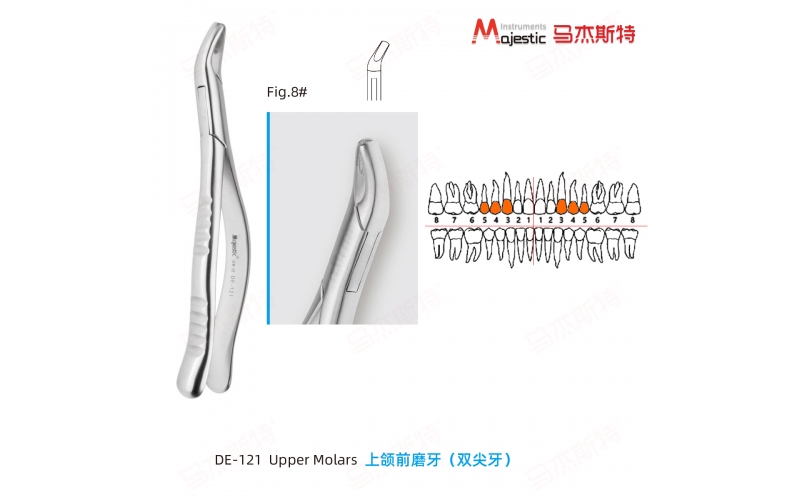 Adult Extracting Forceps American Pattern