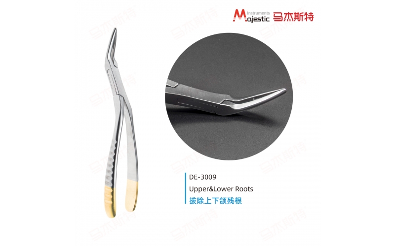 Wisdom And Root Forceps