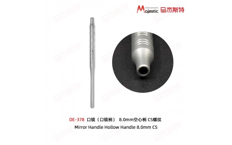 Mirror Handle